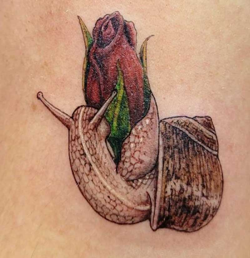 maui tattoo rose snail