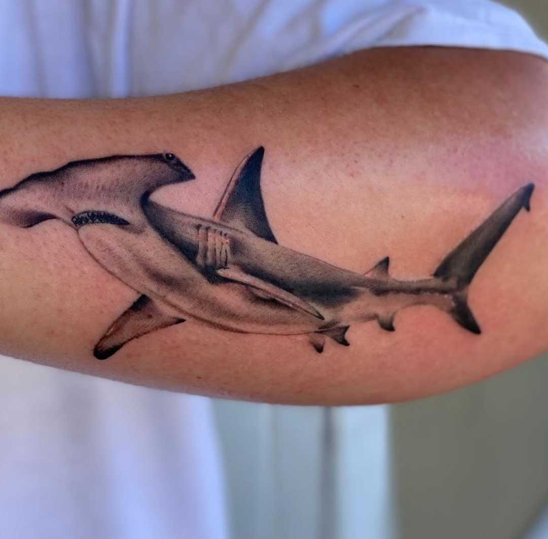 maui shark tattoo hammer head