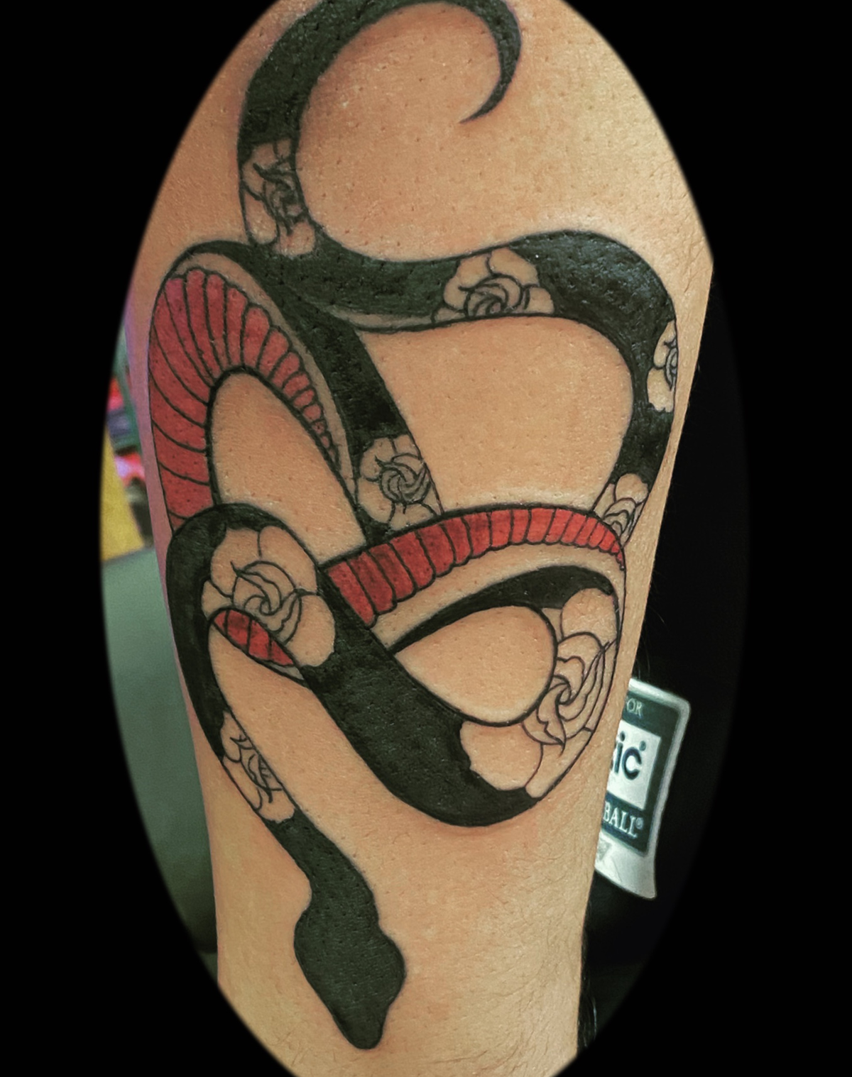 snake tatoo